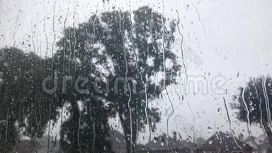 带有模糊<strong>树背景</strong>的Windows上的雨滴。 放松视频